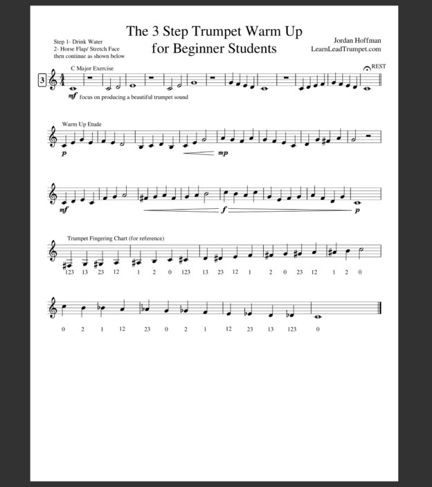The 3 Step Trumpet Warm Up for Beginner Students Learn Lead Trumpet